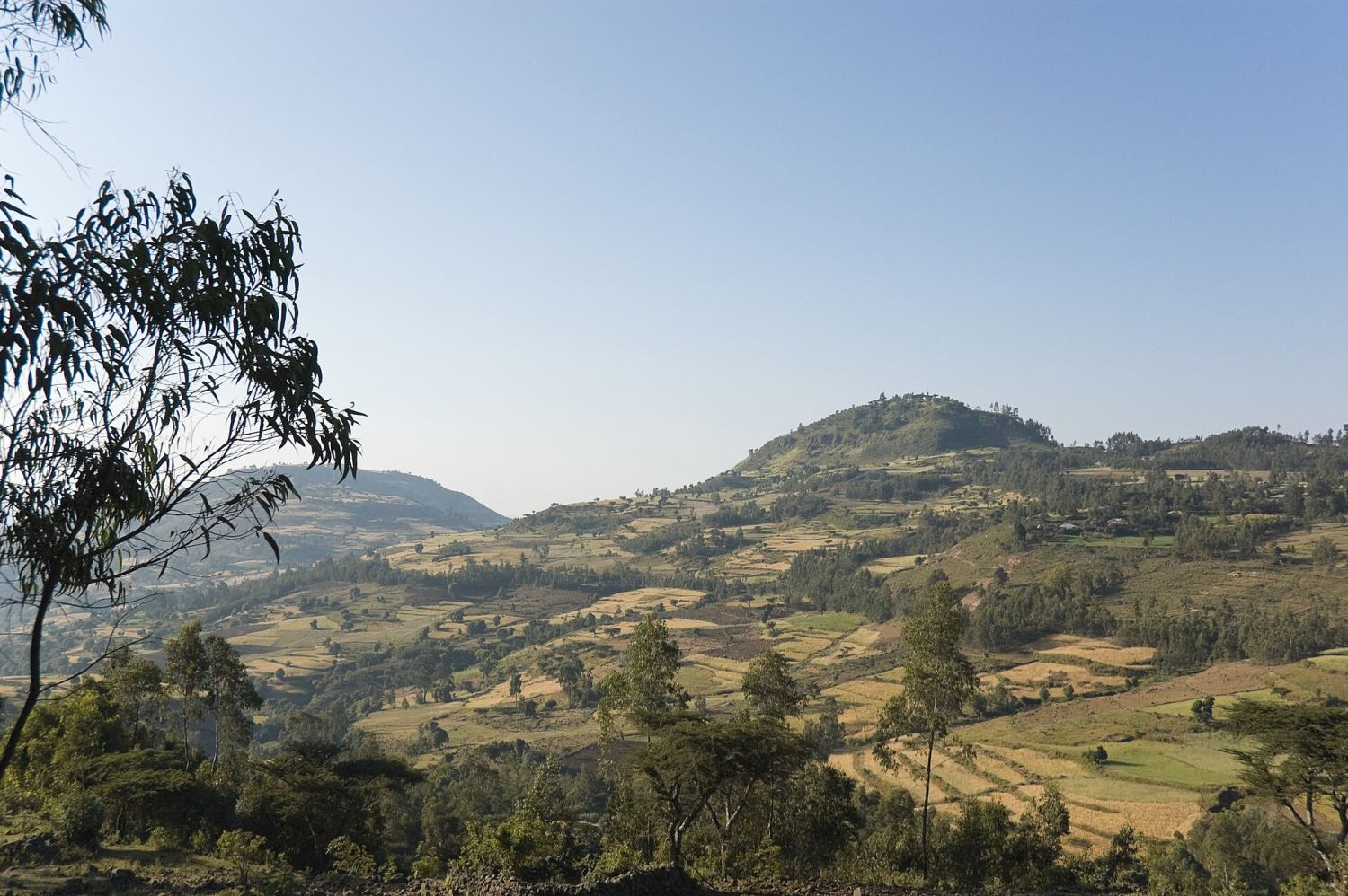 Simien Escarpment Weekend